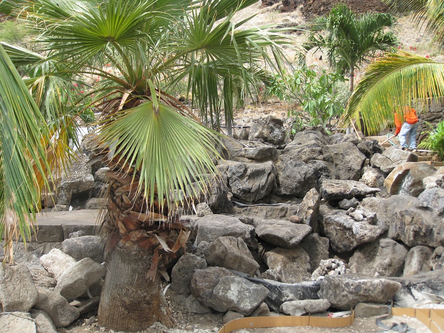 Water Feature